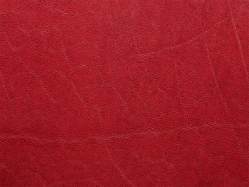 Primavera punane 11